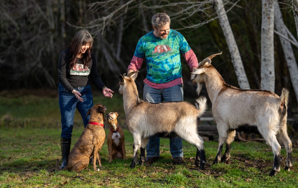 Dogs and goats and Farrell and Laurie