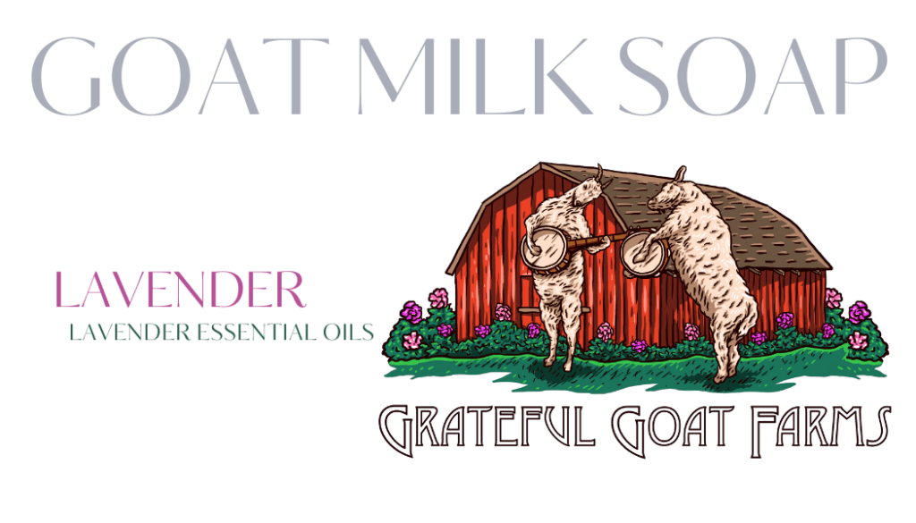 lavender goat milk soap banner